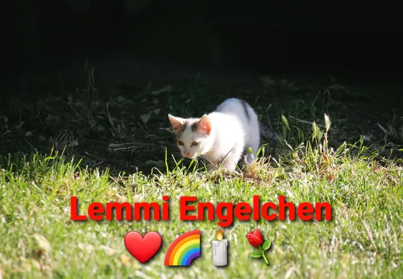 Andachtsbild von Tanja mit Timmy im Herzen