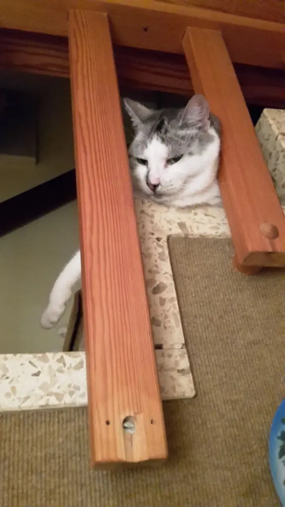 Andachtsbild von ❤Deine Mutti Eike und Oma Edeltraud ❤