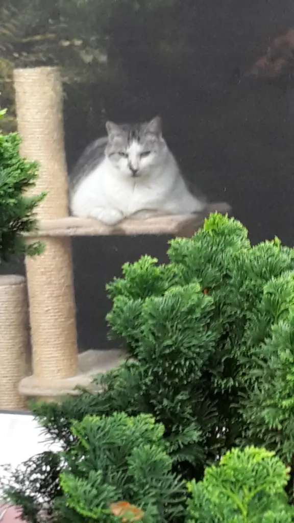 Andachtsbild von ❤Deine Mutti Eike und Oma Edeltraud ❤