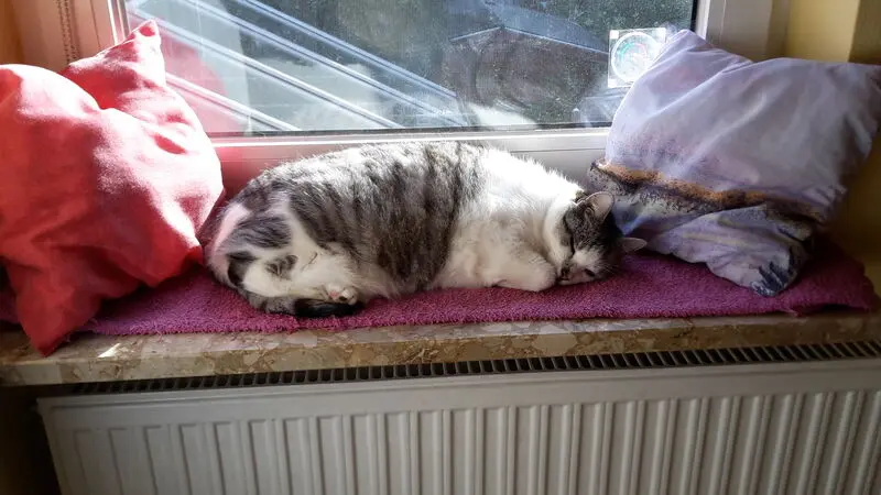 Andachtsbild von ❤Deine Mutti Eike und Oma Edeltraud ❤ 