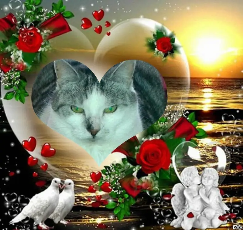 Andachtsbild von Tanja mit Timmy im Herzen 