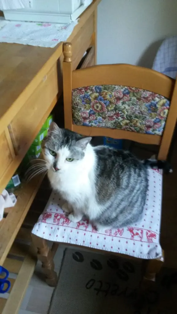 Andachtsbild von ❤Deine Mutti Eike und Oma Edeltraud ❤