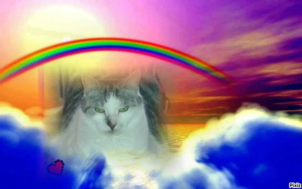 Andachtsbild von Tanja mit Timmy im Herzen