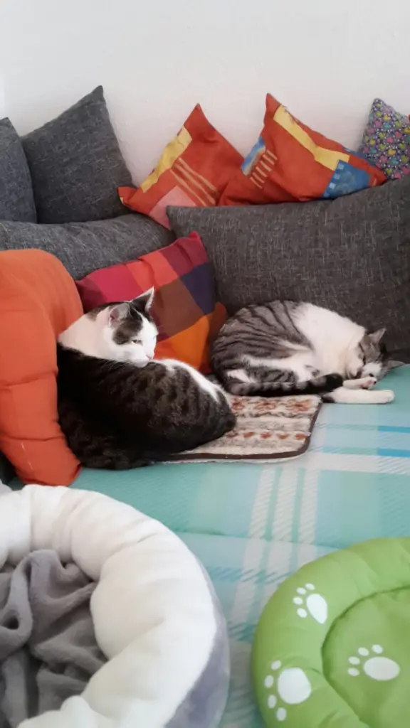 Andachtsbild von ❤Deine Mutti Eike und Oma Edeltraud ❤