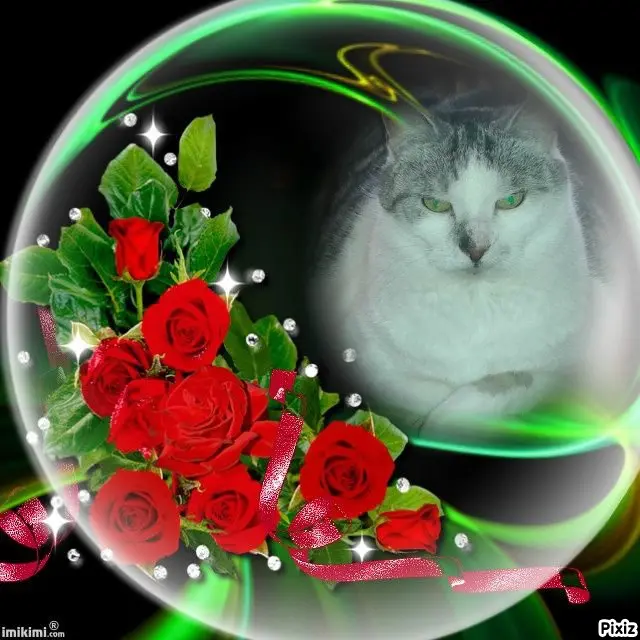 Andachtsbild von Tanja mit Timmy im Herzen