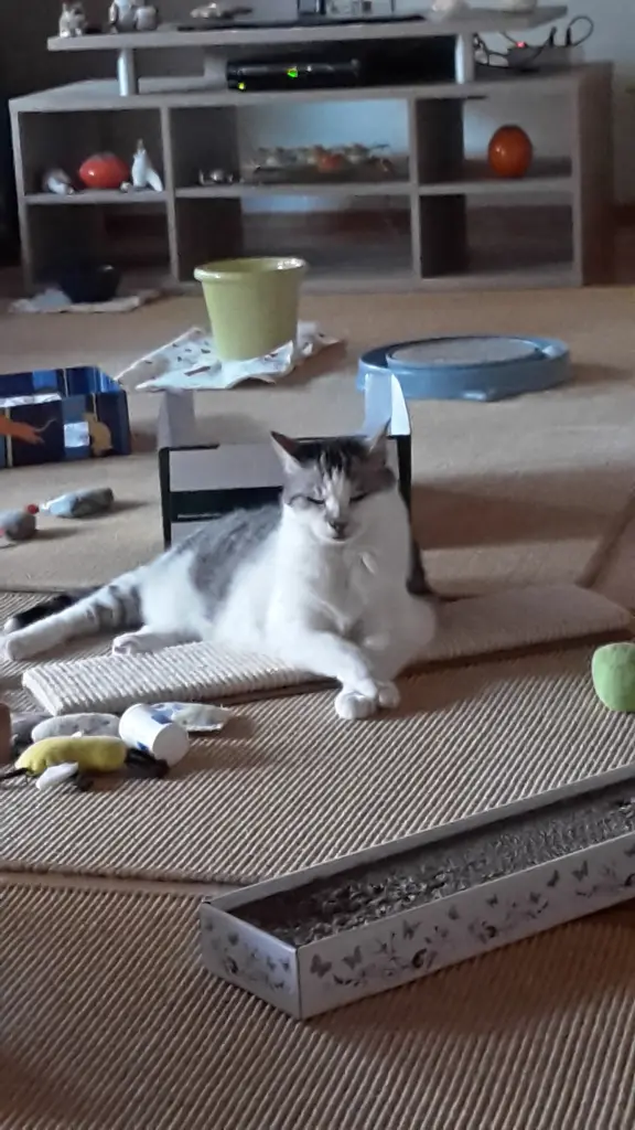 Andachtsbild von ❤Deine Mutti Eike und Oma Edeltraud ❤