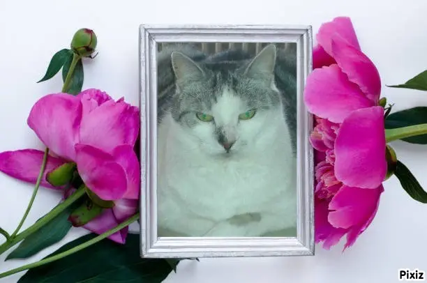 Andachtsbild von Tanja mit Timmy im Herzen