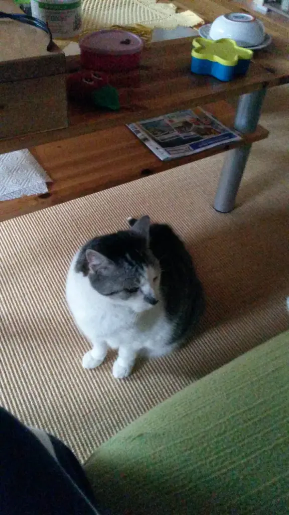 Andachtsbild von ❤Deine Mutti Eike und Oma Edeltraud ❤