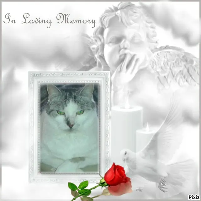 Andachtsbild von Tanja mit Timmy im Herzen 