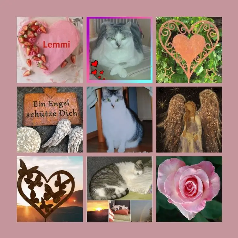 Andachtsbild von Rosen für Lemmi zum 2. Sternchentag