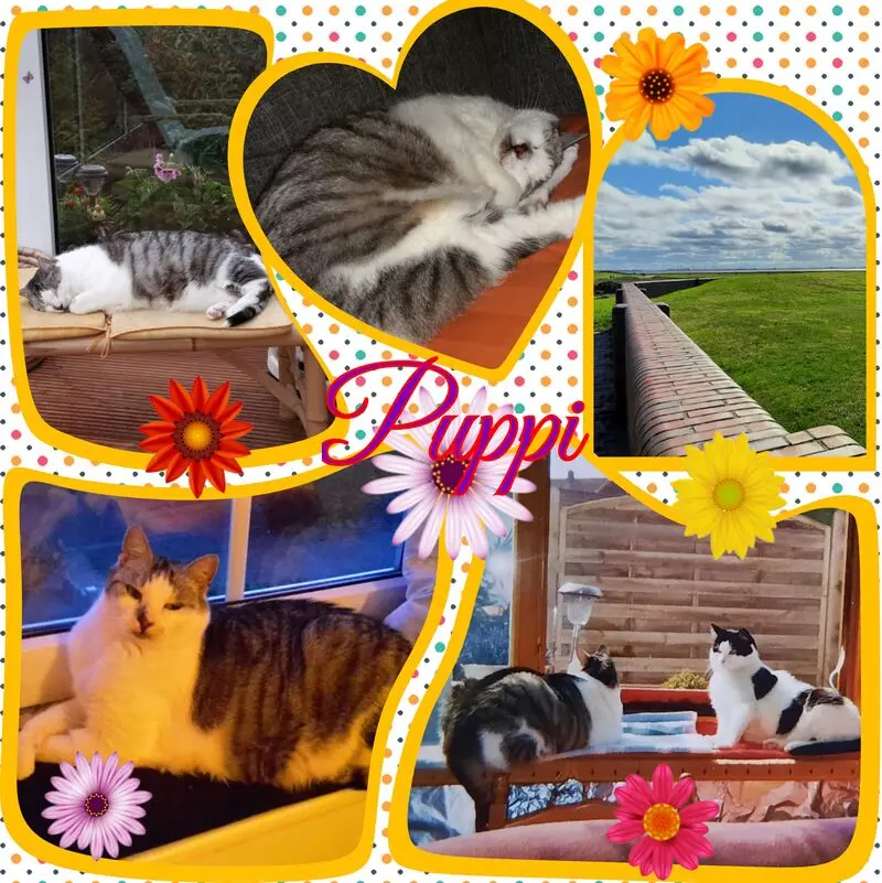 Andachtsbild von Unbekannt