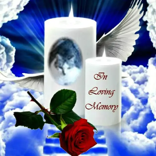 Andachtsbild von 2.Sternchen❤️Gedenktag❤️❤️