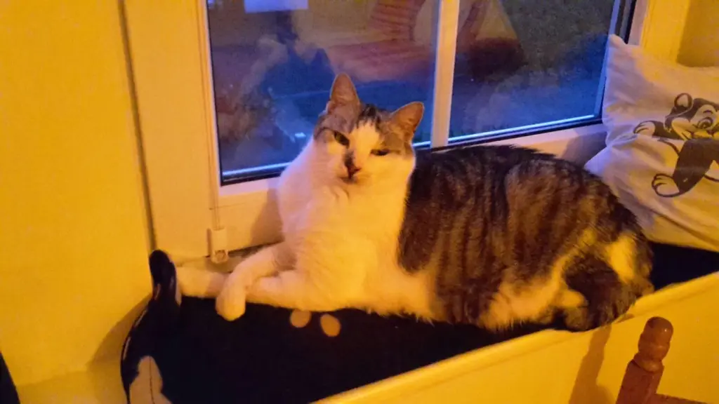 Andachtsbild von ❤️Euer Lemmchen,für meine Mutti und meine Oma❤️