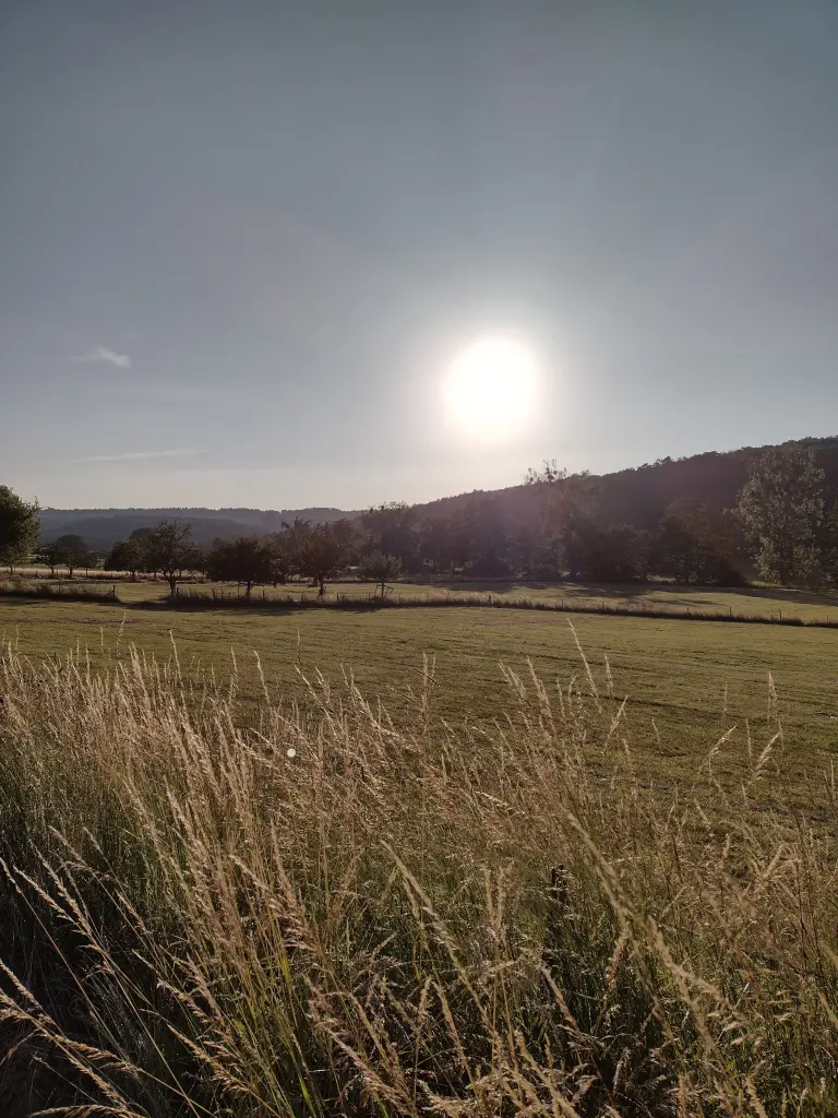Andachtsbild von Corinna mit Emma, Pummelchen und anderen Sternlein im Herzen