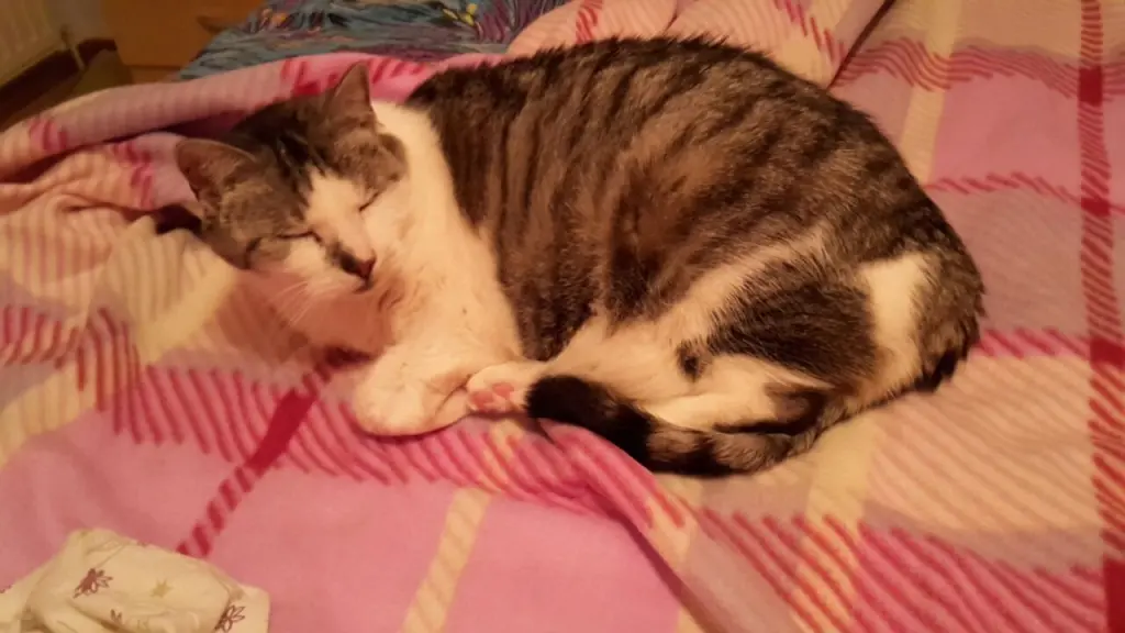 Andachtsbild von ❤️Deine Mutti und deine Oma ❤️