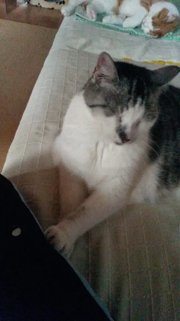 Andachtsbild von ❤️Deine Mutti und deine Oma ❤️