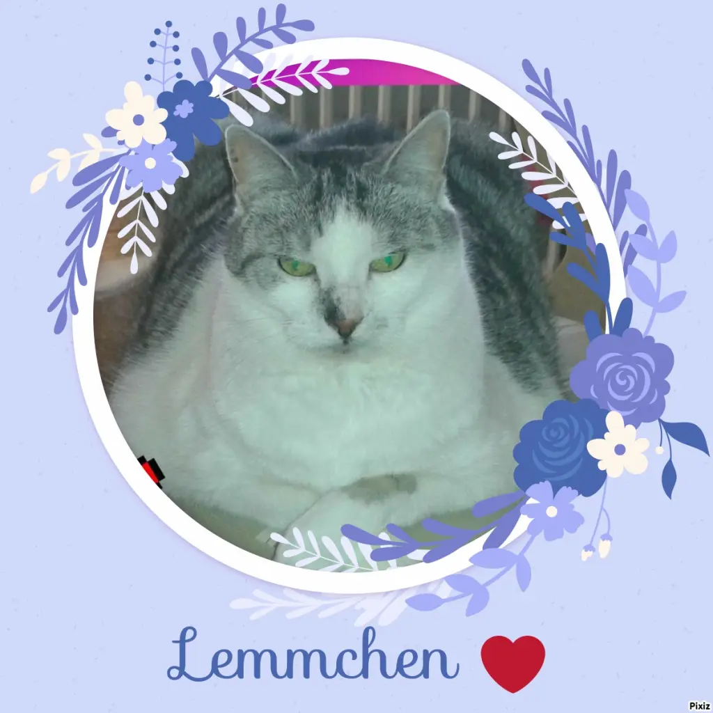 Andachtsbild von Tanja mit Timmy im Herzen