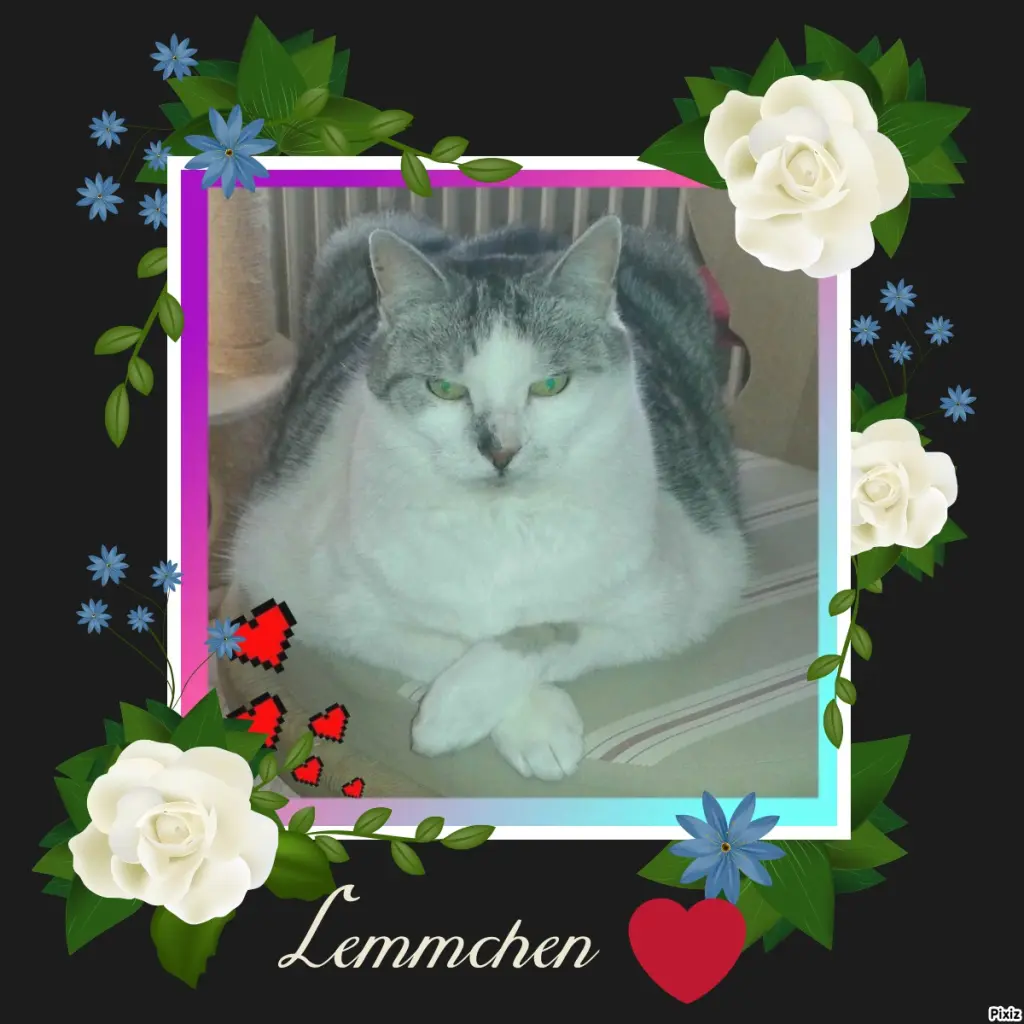 Andachtsbild von Tanja mit Timmy im Herzen