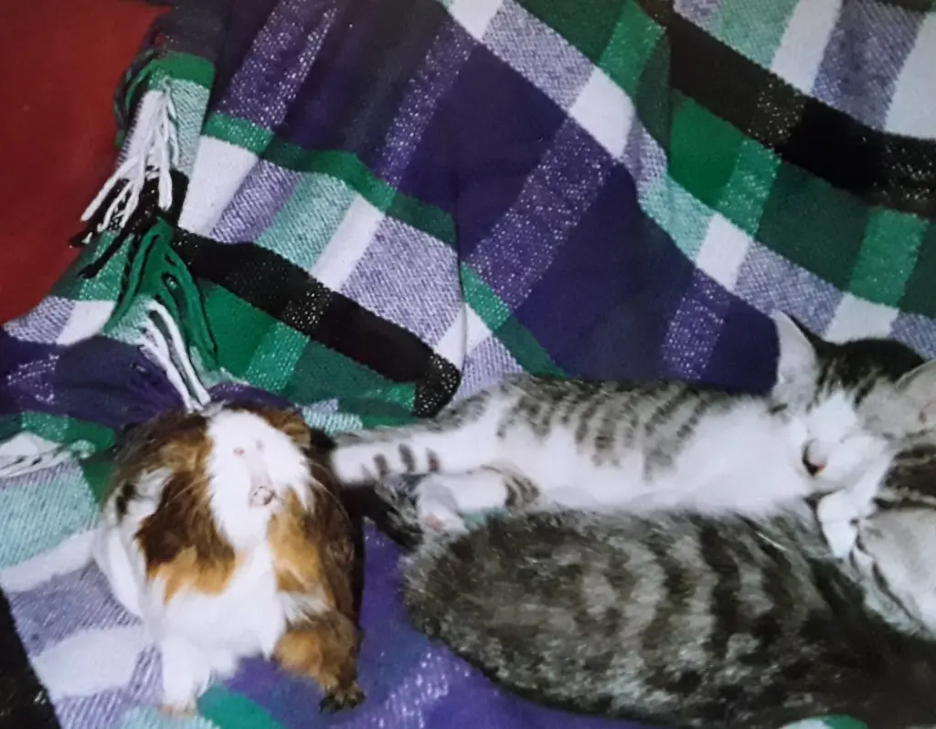 Andachtsbild von ❤️Deine Mutti und deine Oma ❤️