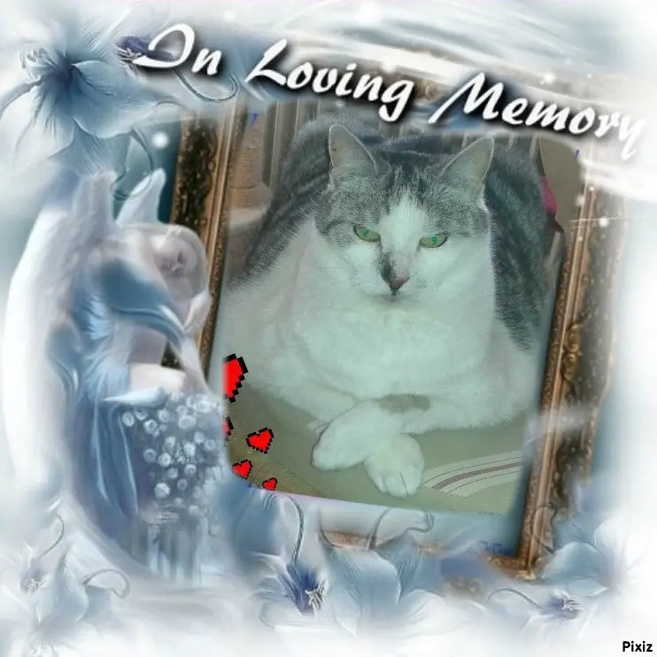 Andachtsbild von Tanja mit Timmy im Herzen
