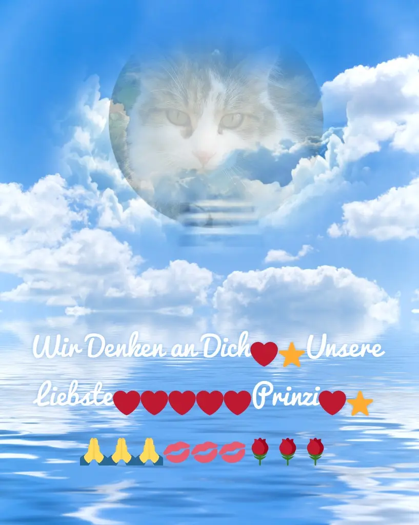 Andachtsbild von Fur Liebe❤️❤️❤️Prinzi❤️⭐️