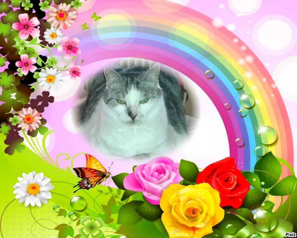 Andachtsbild von Tanja mit Timmy im Herzen