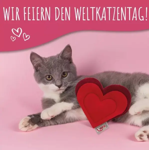 Andachtsbild von ❤️❤️Zum Weltkatzentag ❤️ ❤️