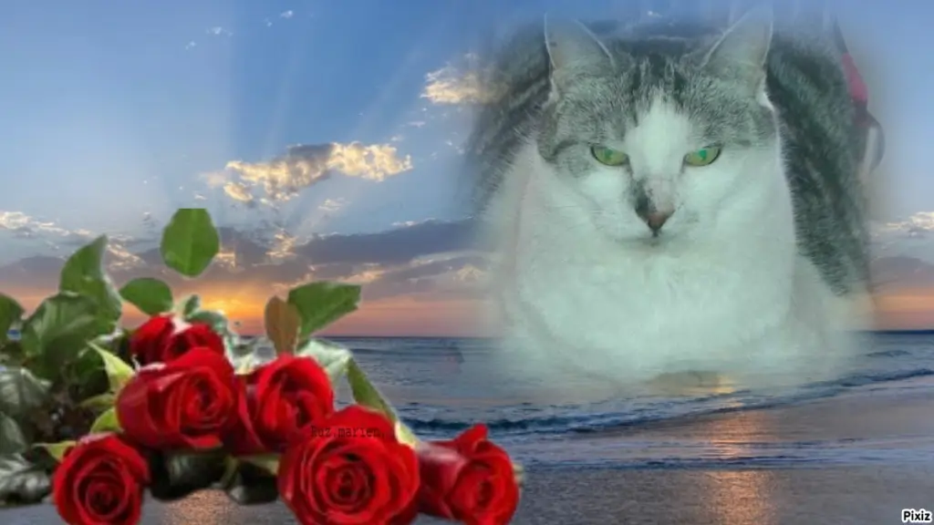 Andachtsbild von Tanja mit Timmy im Herzen