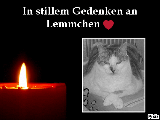 Andachtsbild von Tanja mit Timmy im Herzen