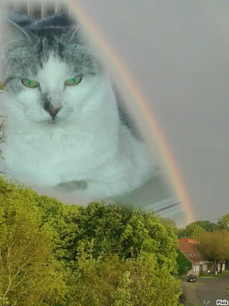 Andachtsbild von Tanja mit Timmy im Herzen