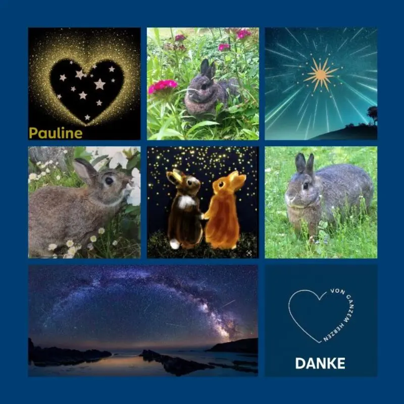 Andachtsbild von Dankesrosen von Pauline und Drina