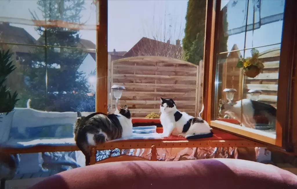 Andachtsbild von ❤️57 Mo❤️Deine Mutti und deine Oma ❤️