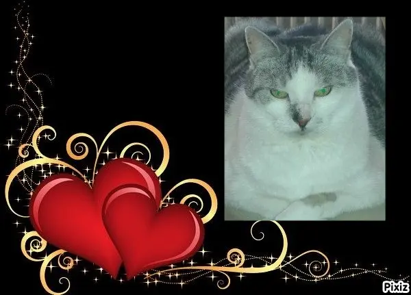 Andachtsbild von Tanja mit Timmy im Herzen
