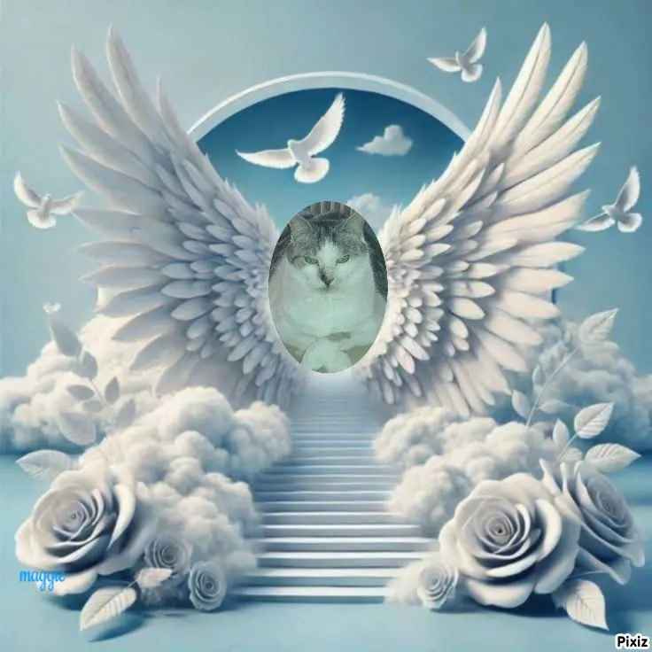 Andachtsbild von Tanja mit Timmy im Herzen
