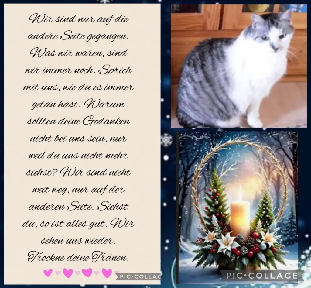 Condolence image of ❤️67 Mo❤️Deine Mutti und deine Oma ❤️