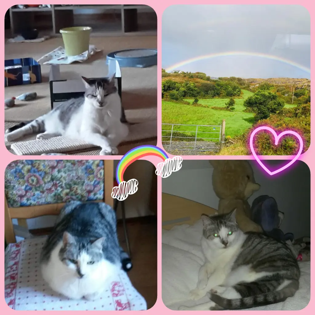 Bild von Lemmi