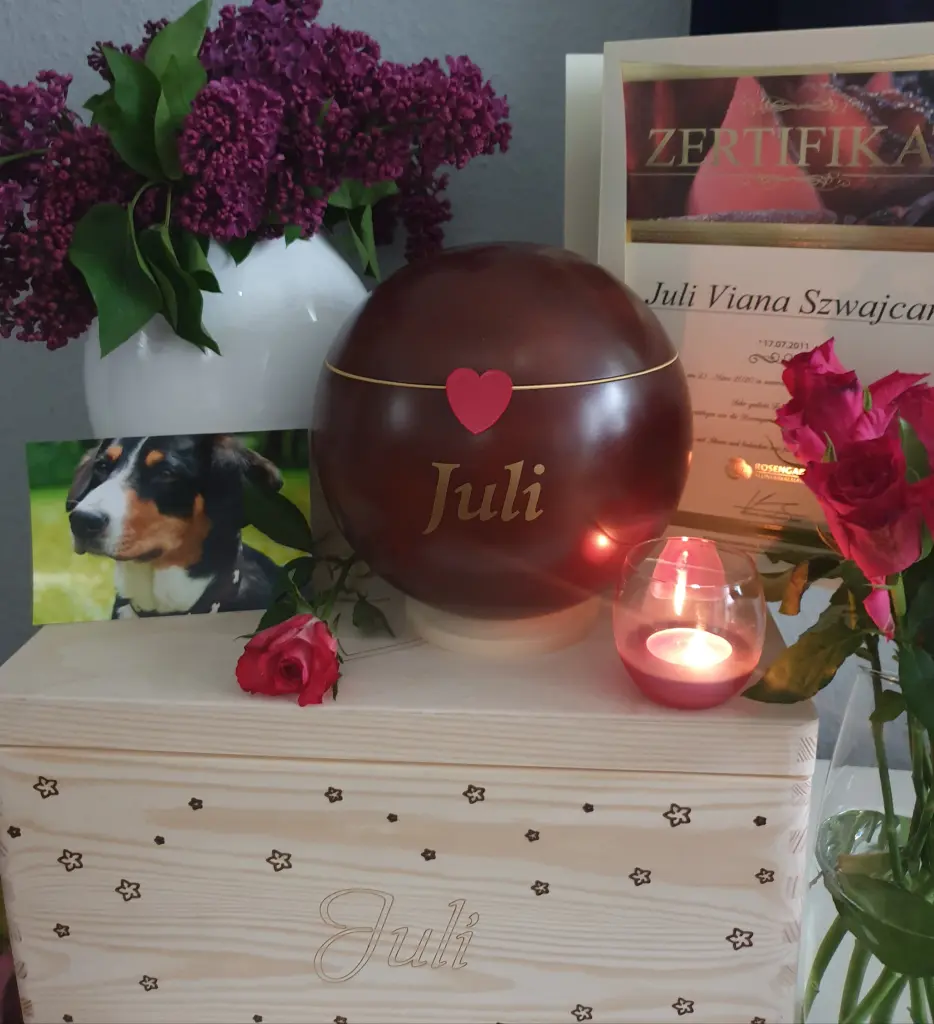 Image from Juli Viana Szwajcar