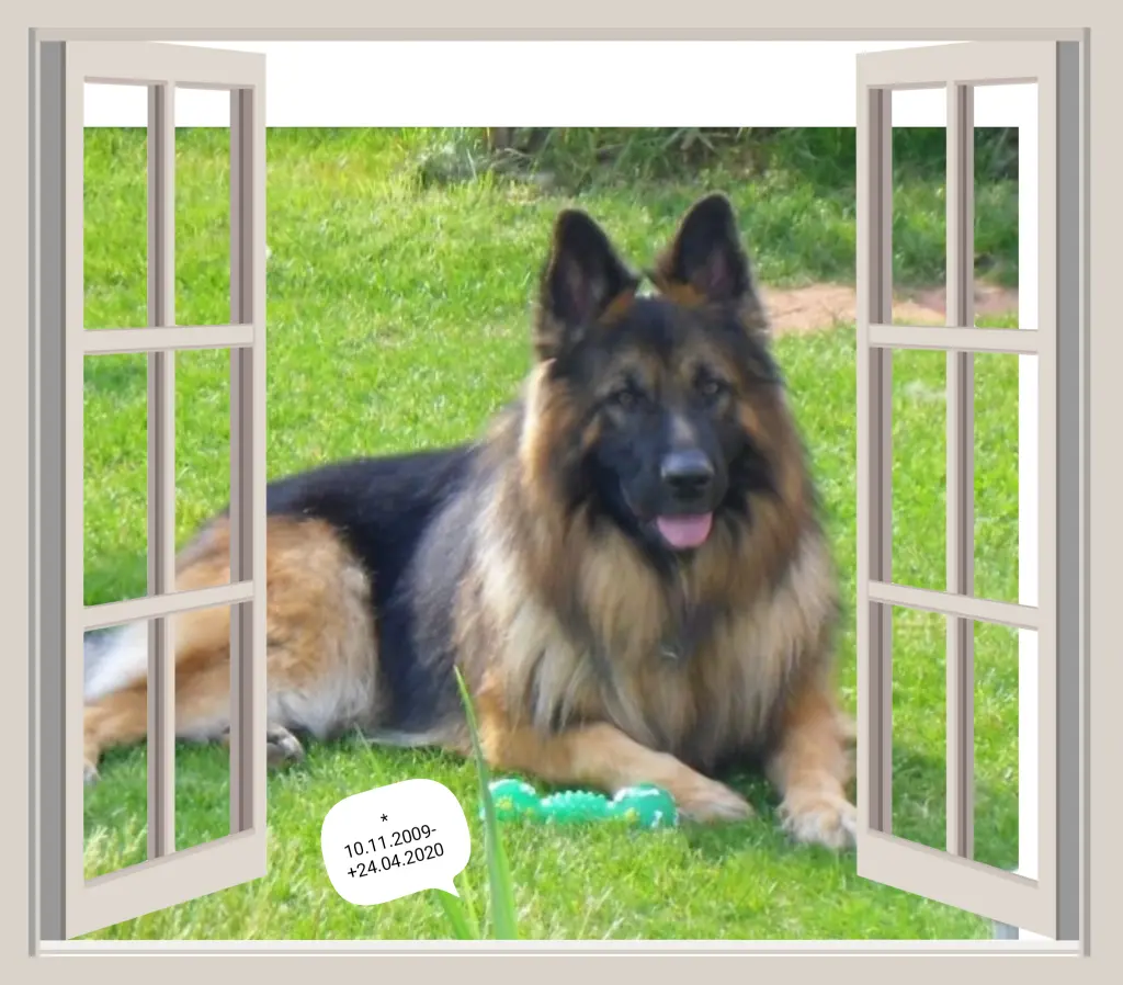 Andachtsbild von Birgit und Uwe 