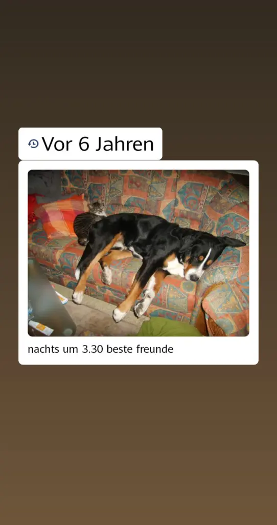 Image from Rufus