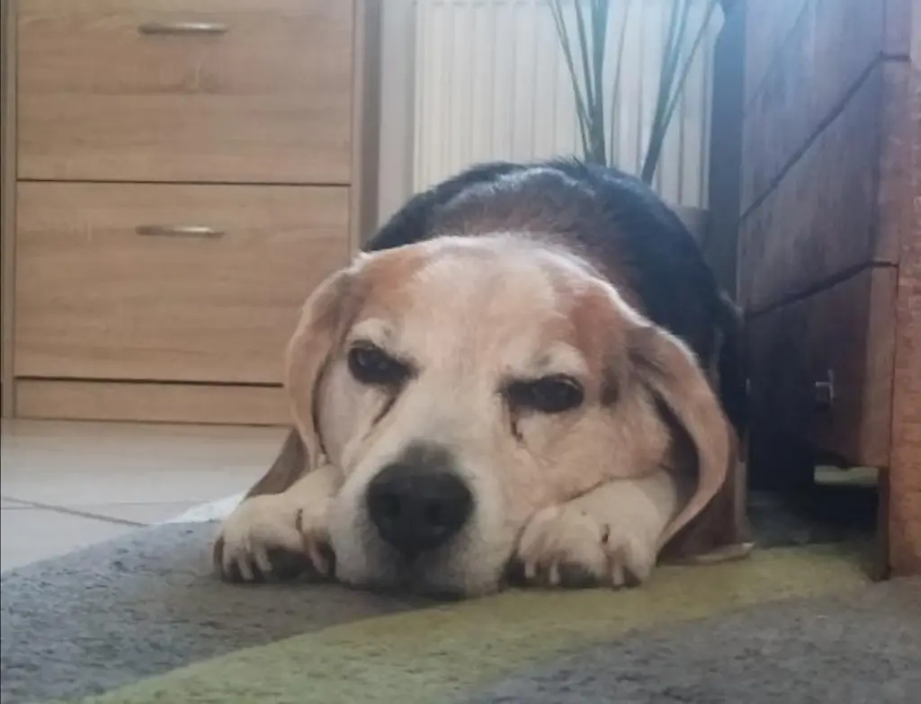Image from Highway