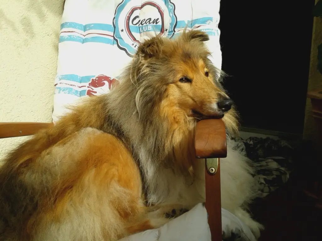 Image from Querido