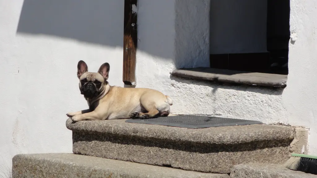 Bild von Lotti