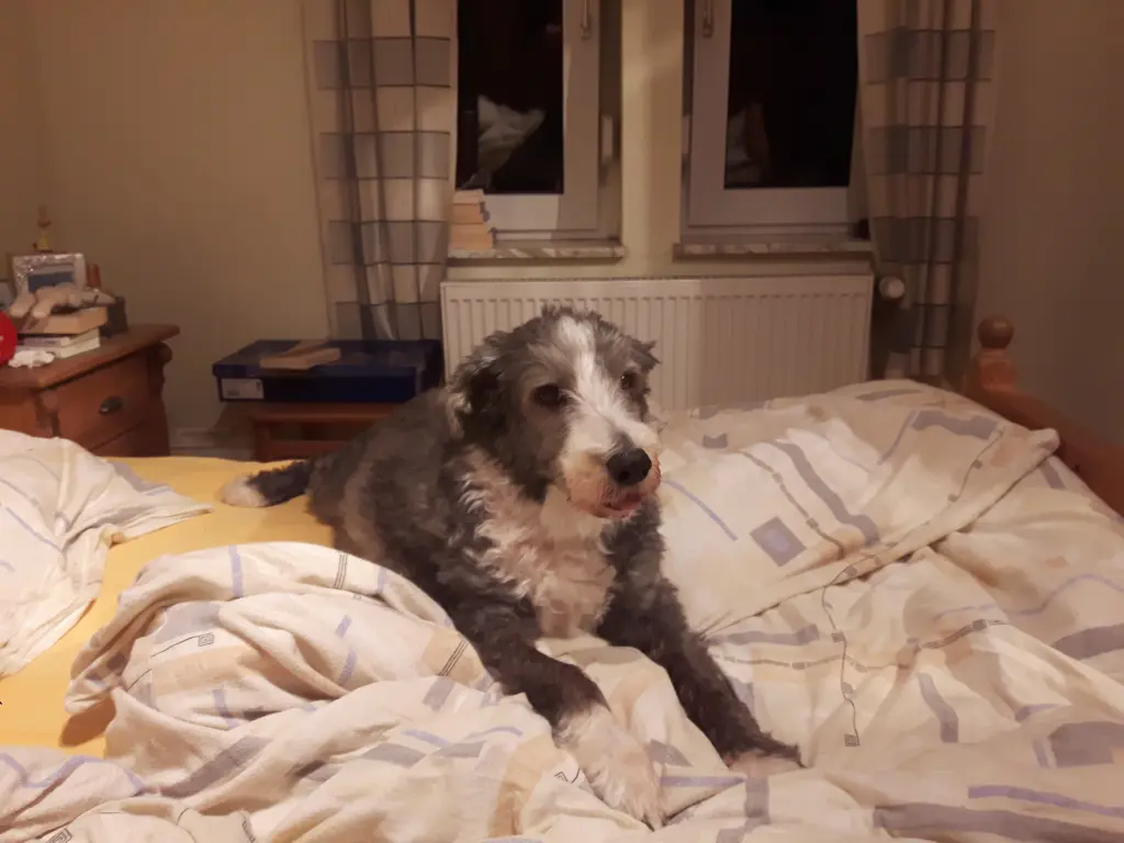 Andachtsbild von Lea