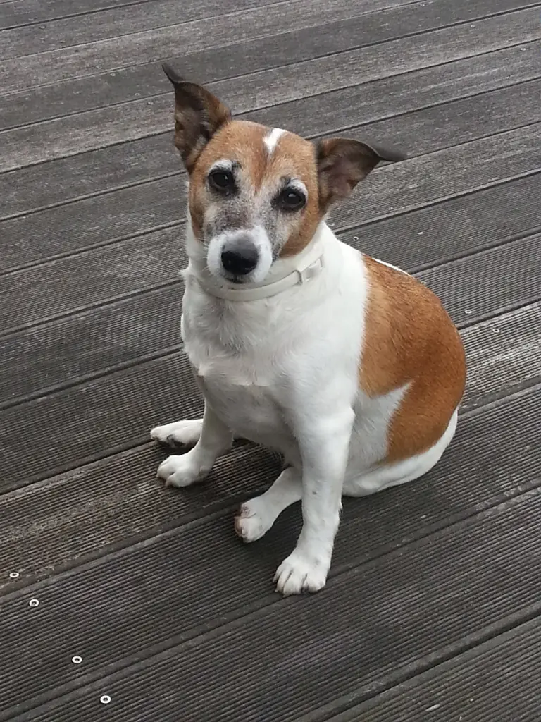 Condolence image of Sabine 