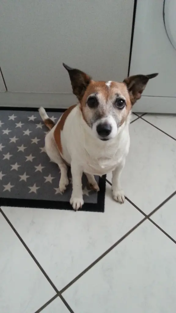 Condolence image of Sabine 