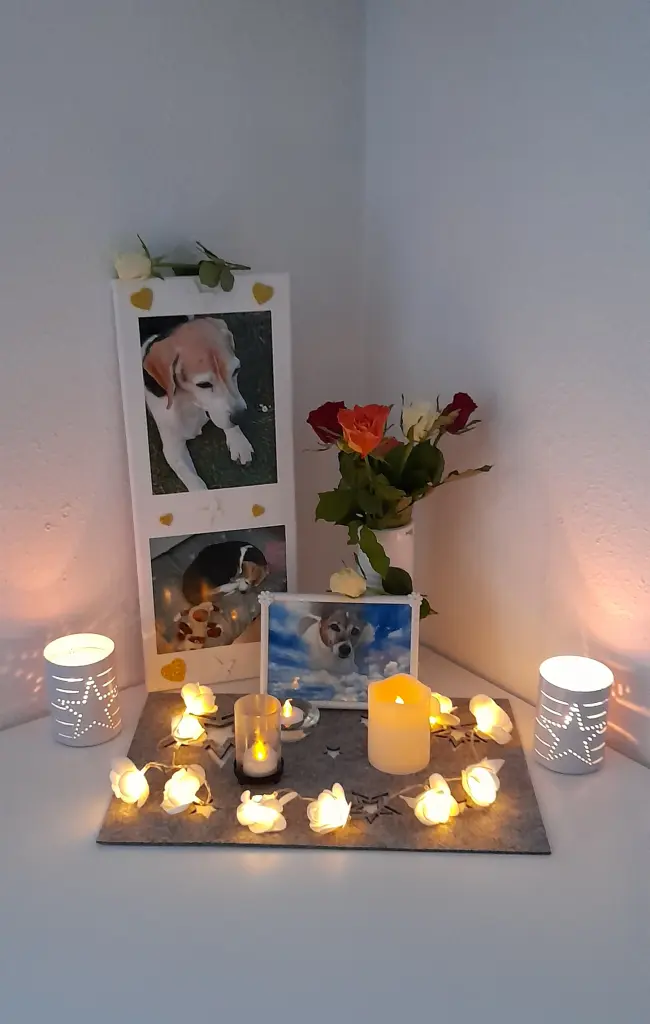 Condolence image of Sabine mit Luna & Milo tief im Herzen 