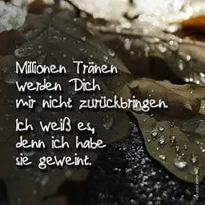 Condolence image of Sabine mit Luna & Milo tief im Herzen 
