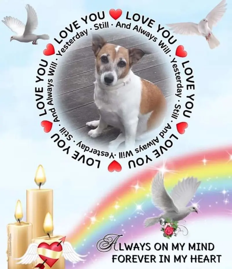 Condolence image of ❤ Ich liebe Dich ❤