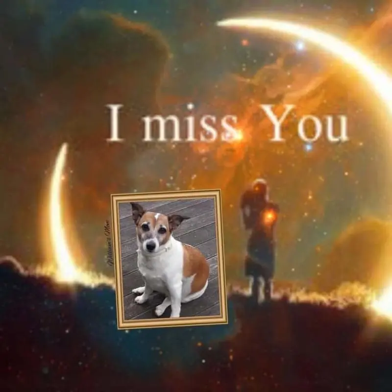 Condolence image of ❤ Ich liebe Dich ❤