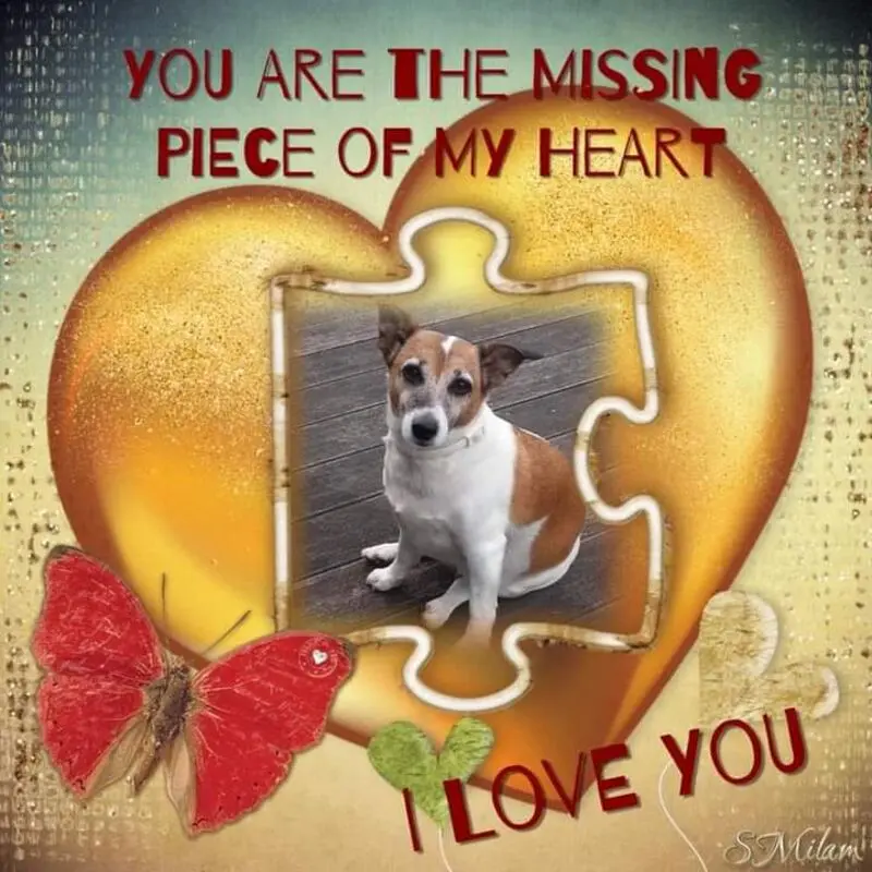Condolence image of ❤ Ich liebe Dich ❤